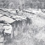 E Campo Grande ganhou sua ”favela oficial”, no centro da cidade E Campo Grande ganhou sua ”favela oficial”, no centro da cidade